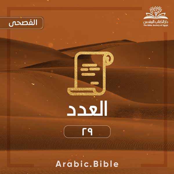 العدد ٢٩ - Bible.Radio