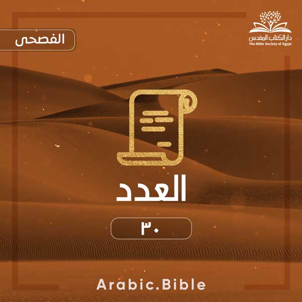 العدد ٣٠ - Bible.Radio