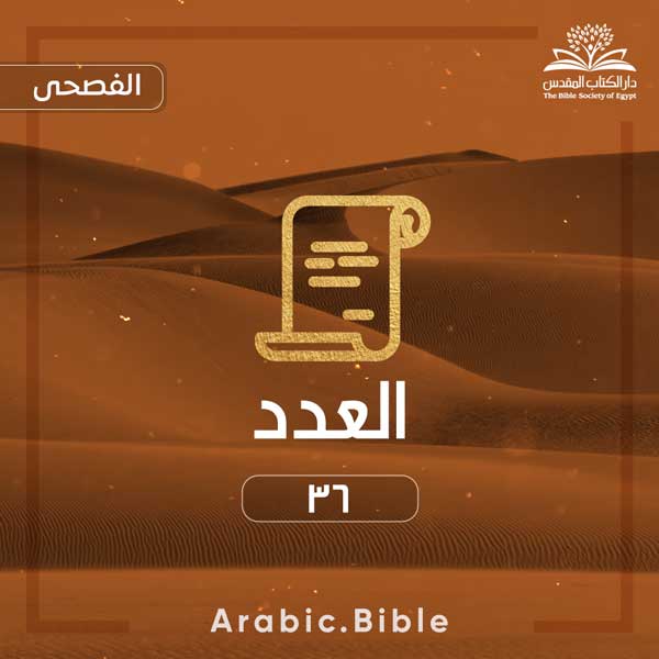 العدد ٣٦ - Bible.Radio