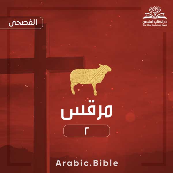 مرقس ٢ - Bible.Radio