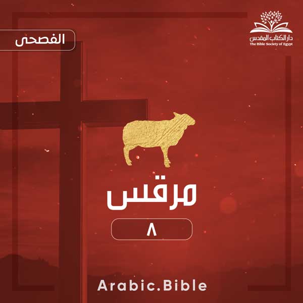 مرقس ٨ - Bible.Radio